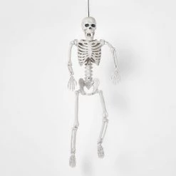 Hyde & EEK! Boutique 24" Posable Skeleton Halloween Decorative Mannequin - Hyde & EEK! Boutique™