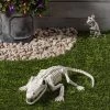 Hyde & EEK! Boutique Crocodile Skeleton Halloween Decorative Prop - Hyde & EEK! Boutique™