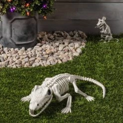 Hyde & EEK! Boutique Crocodile Skeleton Halloween Decorative Prop - Hyde & EEK! Boutique™