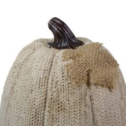Northlight 6.25" White Pumpkin Autumn Harvest Thanksgiving Tabletop Decoration 5 Northlight 6.25" White Pumpkin Autumn Harvest Thanksgiving Tabletop Decoration -Halloween Decorations Sales Store unnamed file 120