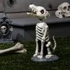 Hyde & EEK! Boutique Animated Barking Dog Skeleton Halloween Decorative Prop - Hyde & EEK! Boutique™