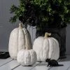 Hyde & EEK! Boutique Falloween Large Sheltered Porch Pumpkin White Halloween Decorative Sculpture - Hyde & EEK! Boutique™
