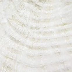 Spooky Central 60 Pack Mini Spiders Halloween Decorations with Spider Webs -Halloween Decorations Sales Store unnamed file 1546