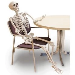 Forum Novelties 5' Posable Skeleton Party Decoration