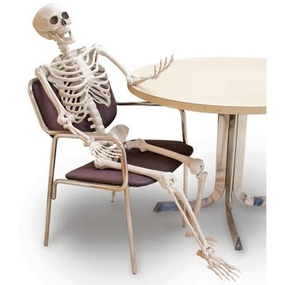 Forum Novelties 5' Posable Skeleton Party Decoration 1 Forum Novelties 5' Posable Skeleton Party Decoration
