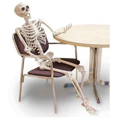 Forum Novelties 5' Posable Skeleton Party Decoration 2 Forum Novelties 5' Posable Skeleton Party Decoration - Image 2