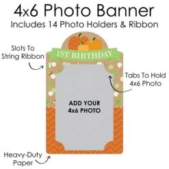 Big Dot of Happiness Pumpkin Patch - DIY Fall, Halloween or Thanksgiving Birthday Party Decor - 1-12 Monthly Picture Display - Photo Banner -Halloween Decorations Sales Store unnamed file 223
