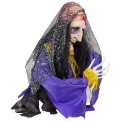 Northlight 20" Animated Fortune Teller Halloween Decoration