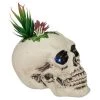 Northlight 8.75" LED Lighted Succulent Halloween Skull Planter