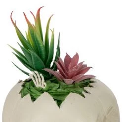 Northlight 8.75" LED Lighted Succulent Halloween Skull Planter -Halloween Decorations Sales Store unnamed file 2479