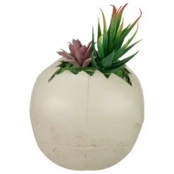 Northlight 8.75" LED Lighted Succulent Halloween Skull Planter -Halloween Decorations Sales Store unnamed file 2480