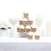 Big Dot of Happiness Fall Pumpkin - Halloween or Thanksgiving Party Decorations - Party Cupcake Wrappers - Set of 12