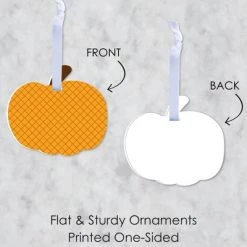 Big Dot of Happiness Pumpkin Patch - Fall, Halloween or Thanksgiving Decorations - Tree Ornaments - Set of 12 -Halloween Decorations Sales Store unnamed file 388
