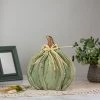 Northlight 12" Green Distressed Fall Harvest Pumpkin Decoration