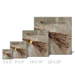 Sullivans Darren Gygi Witch's Broom Canvas, Museum Quality Giclee Print, Gallery Wrapped, Handcrafted in USA -Halloween Decorations Sales Store unnamed file 726