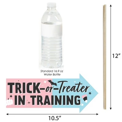 Big Dot of Happiness Funny Boo-y or Ghoul - Halloween Gender Reveal Party Photo Booth Props Kit - 10 Piece 2 Big Dot of Happiness Funny Boo-y or Ghoul - Halloween Gender Reveal Party Photo Booth Props Kit - 10 Piece - Image 2